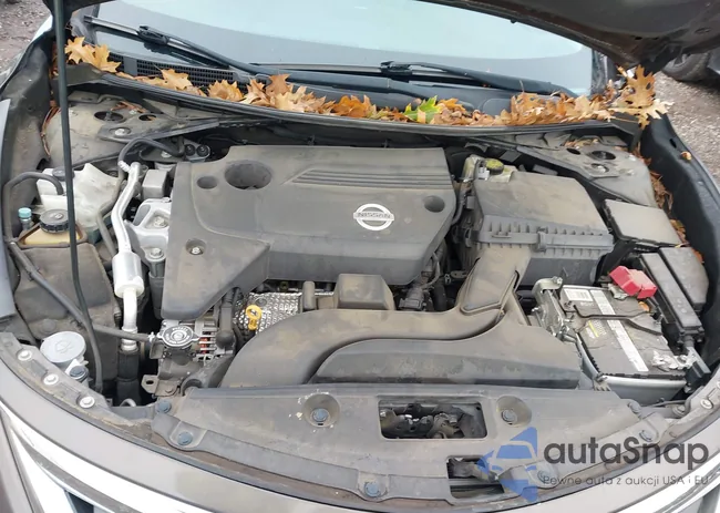 1N4AL3AP0EN370776: 43828601