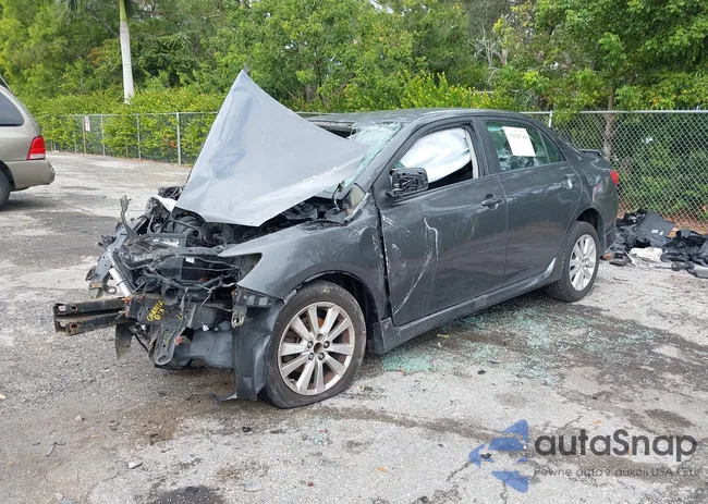 2T1BU4EE3AC501965: 43828740