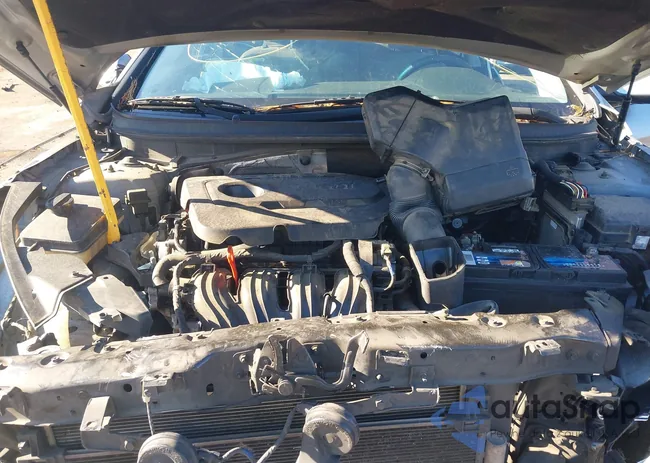 5NPE24AFXGH405449: 43828858