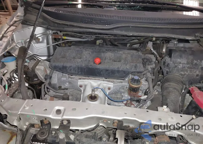 19XFB2F51CE039341: 43830079