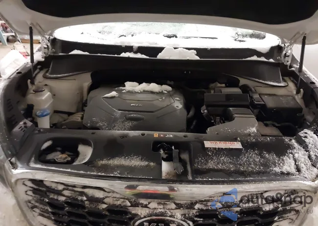 5XYPGDA53KG481094: 43830409