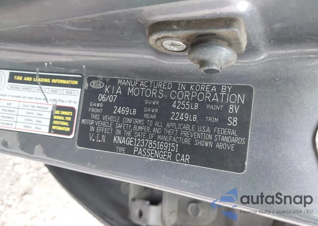 KNAGE123785169151: 43829795