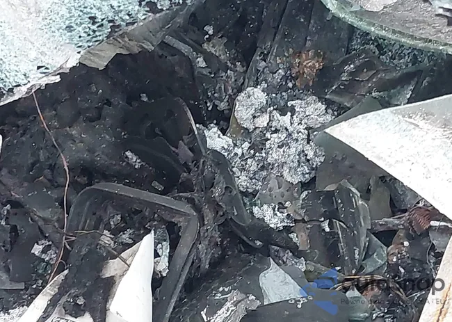 5YJSA1E59RF536637: 43830919