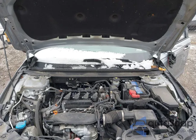 1HGCY1F31RA064411: 43831117