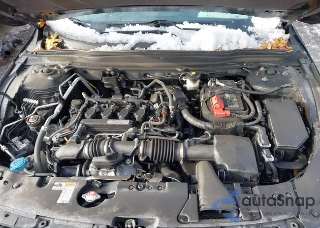 1HGCV1F11LA124329: 43831297