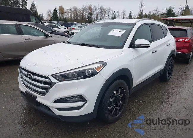 KM8J3CA49GU129593: 43831396