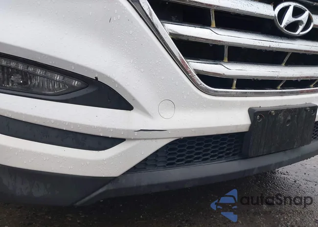 KM8J3CA49GU129593: 43831396