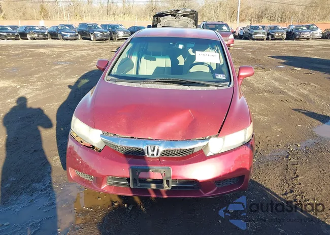 2HGFA1F50BH532932: 43831485