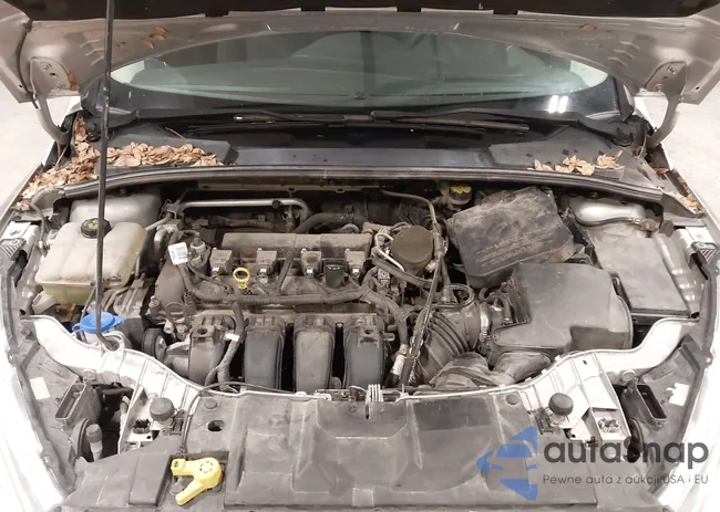 1FADP3F23FL275186: 43831553