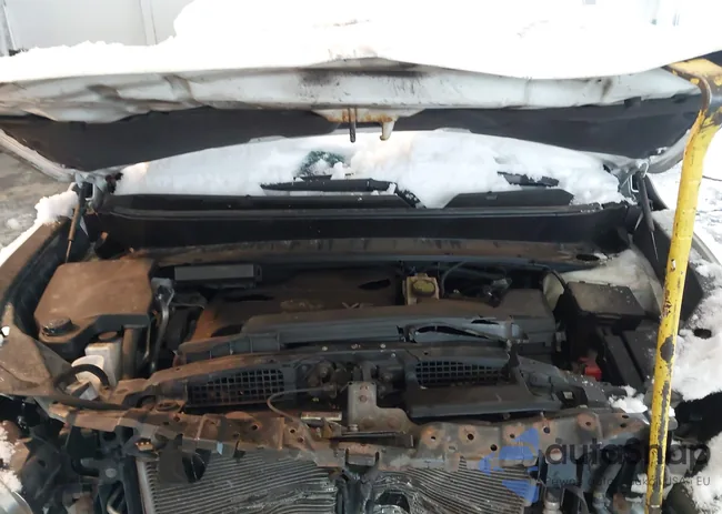 5N1AL0MM4EC553986: 43833127