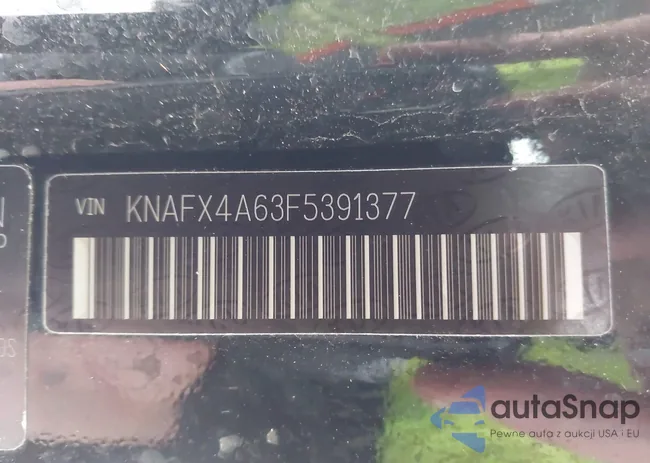 KNAFX4A63F5391377: 43833194