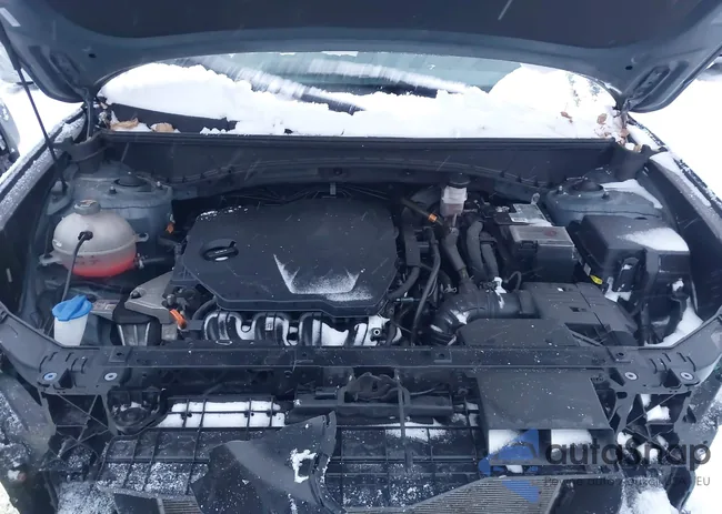 KM8JECAEXNU048862: 43833264