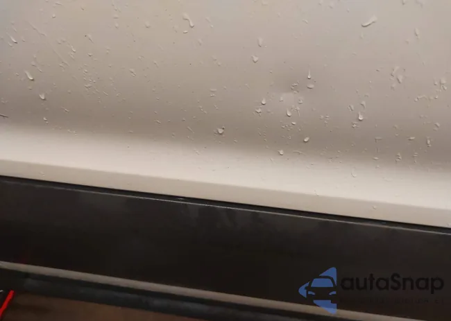 1FDZX2CMXKKB87084: 43833310