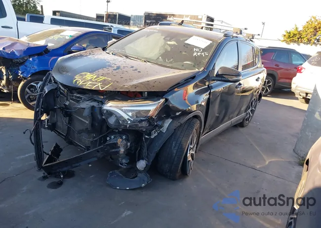 JTMJJREVXHD088005: 43832551