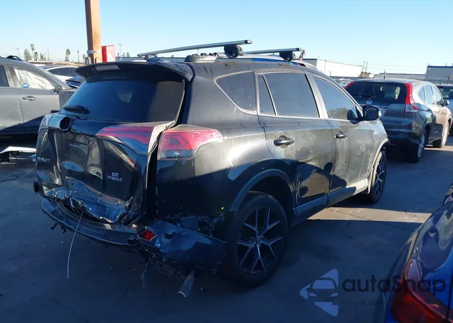 JTMJJREVXHD088005: 43832551