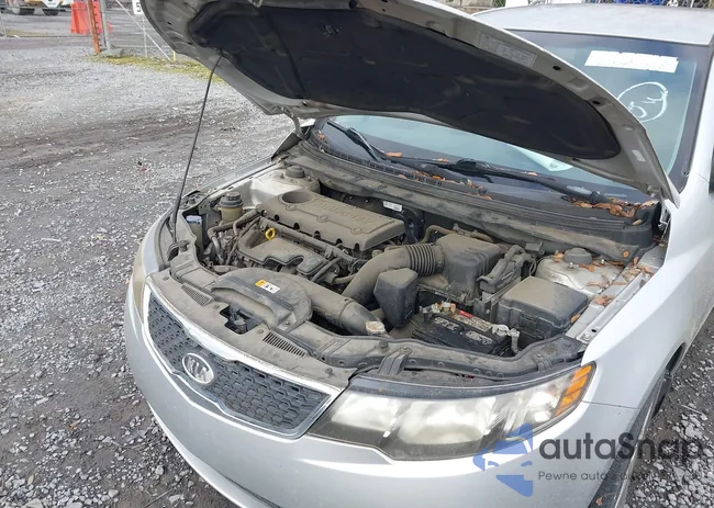 KNAFT4A2XD5654731: 43834209