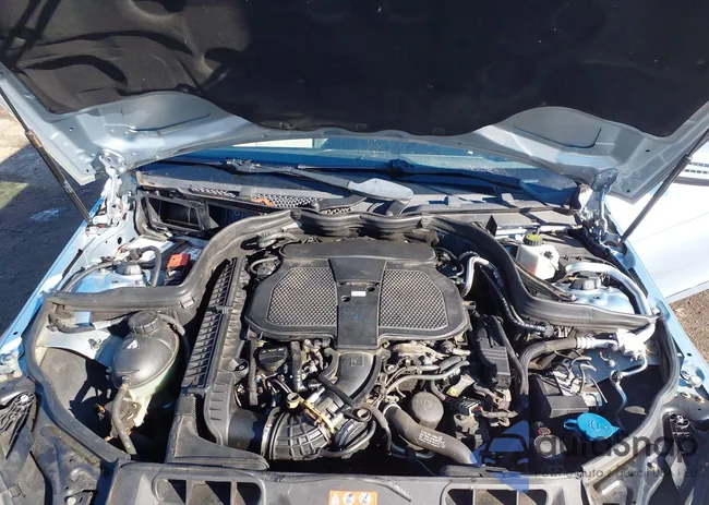 WDDGF8AB2DA816967: 43834496