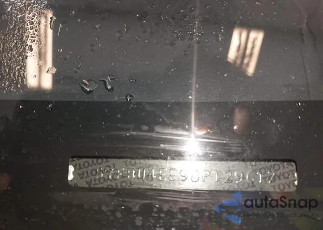 5YFBU4EE9DP129617: 43833840