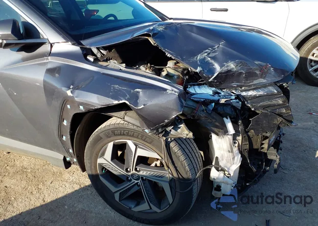 KM8JE3AEXNU056959: 43834915