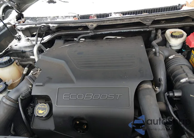 2FMHK6DT2FBA13419: 43835224