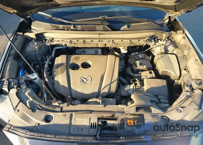 JM3KFBCM1K0502429: 43835408