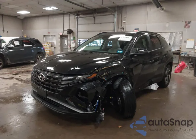 5NMJFCDEXRH415351: 43834581