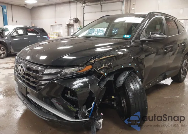 5NMJFCDEXRH415351: 43834581