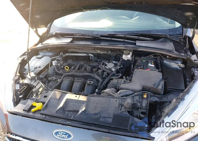 1FADP3F2XHL325505: 43834813