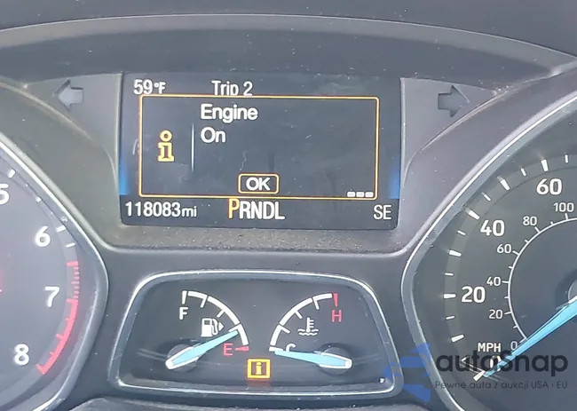 1FADP3F2XHL325505: 43834813