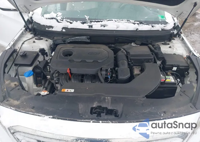 5NPE24AF0GH431915: 43835981