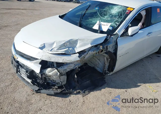 1G1ZH5SXXGF192535: 43836633