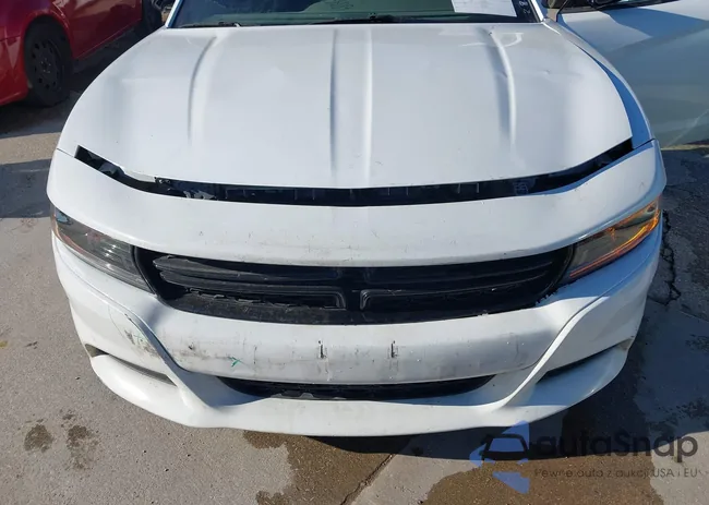 2C3CDXBG8PH584520: 43836752