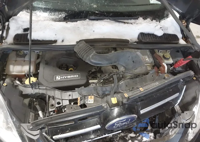 1FADP5AU2FL104661: 43838486