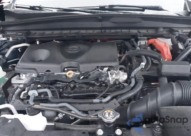 7MMVAADWXSN102502: 43839340