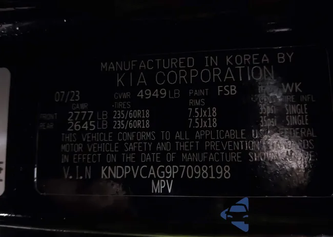 KNDPVCAG9P7098198: 43839371