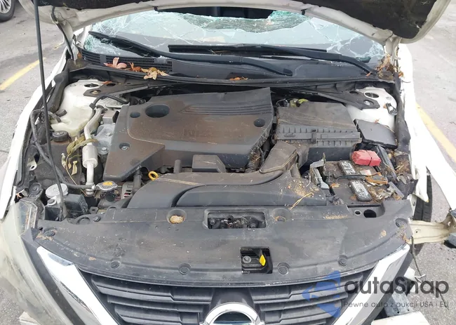 1N4AL3AP8HC185696: 43840314