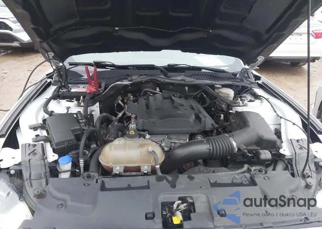 1FATP8UH4L5113583: 43841097