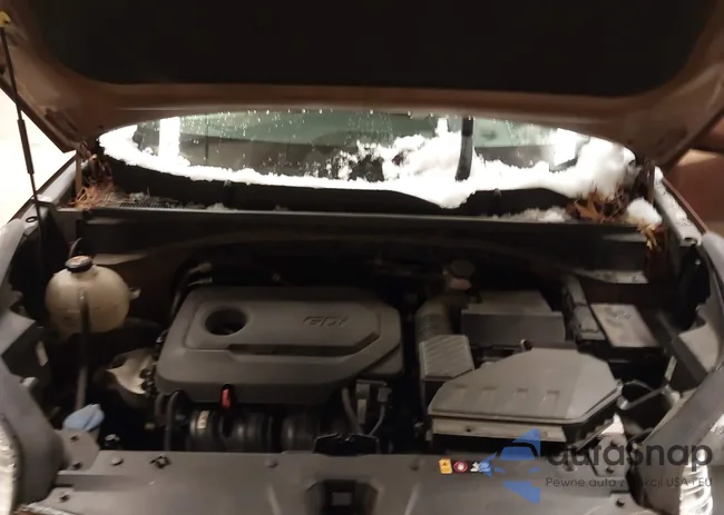 KNDPMCAC0J7303995: 43841492