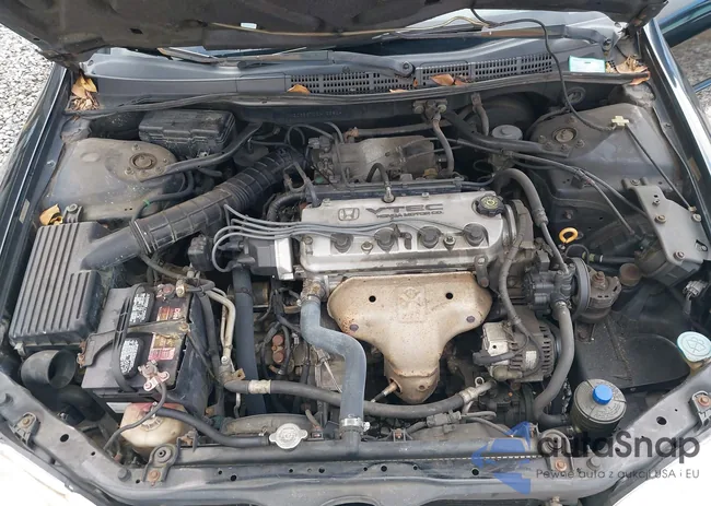 1HGCG56702A123824: 43840615