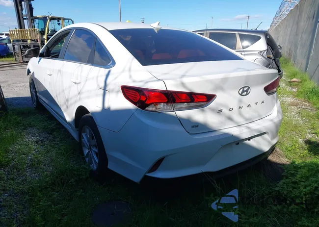 5NPE24AF5KH744662: 43840627