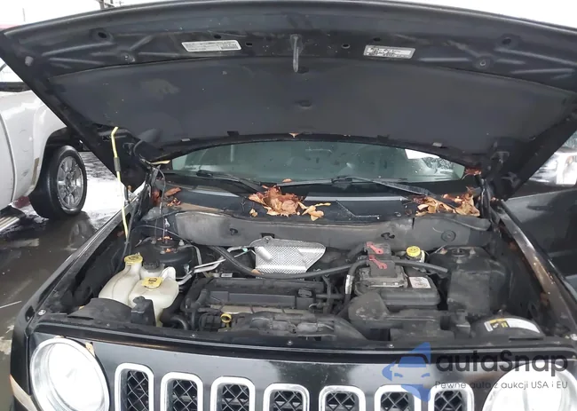 1C4NJPBA9GD629034: 43842004