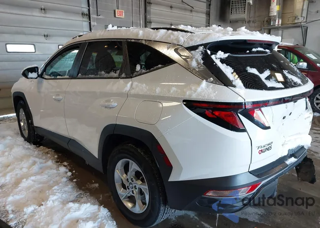 5NMJBCDE1RH323041: 43842040