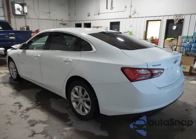 1G1ZD5ST8MF024381: 43842183