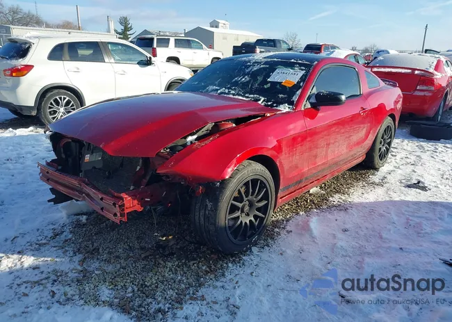 1ZVBP8AM3D5199927: 43841581