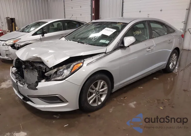 5NPE24AF4GH296275: 43841616