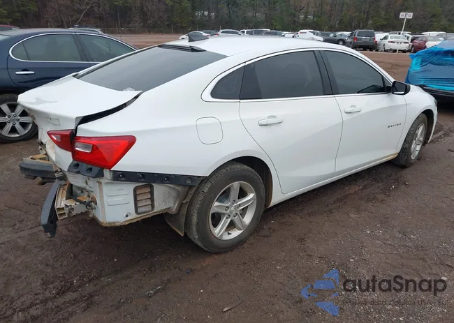 1G1ZB5ST3LF012787: 43841856