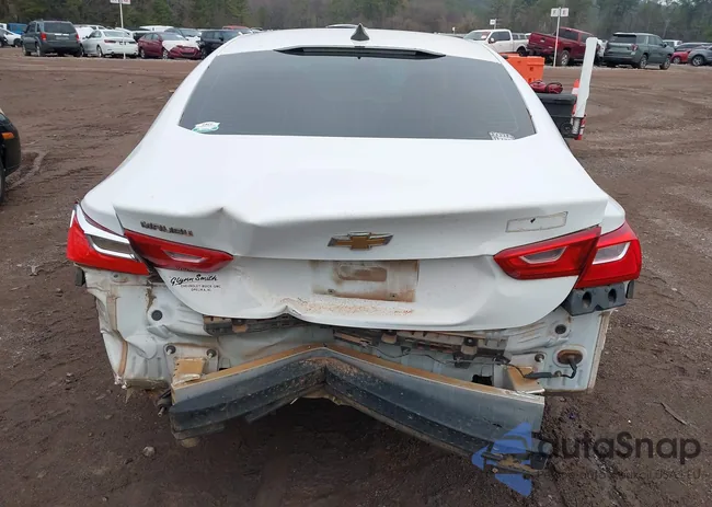 1G1ZB5ST3LF012787: 43841856