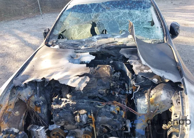 JNKBV61F07M819981: 43843074