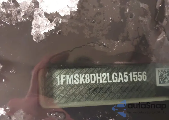 1FMSK8DH2LGA51556: 43843318