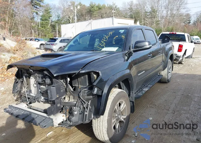 5TFDZ5BN4JX033119: 43843636